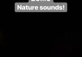 This did NOT sound like what Alexa played when I tested my cot tent (indoors).  This was from the first night at #ThisDirtLife MTB retreat. Talking toads at 10pm… Go to sleep, nature! Lol #campingNewbie [instagram]